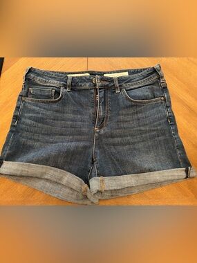 Pilcro and the Letterpress Anthropologie Script Denim Shorts Size 30